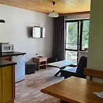 Апартаменты Nad Strumykiem