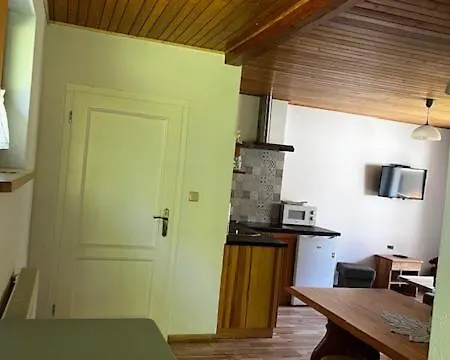Nad Strumykiem Apartment