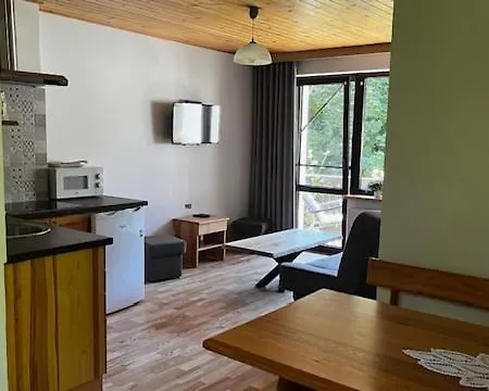 Apartment Nad Strumykiem