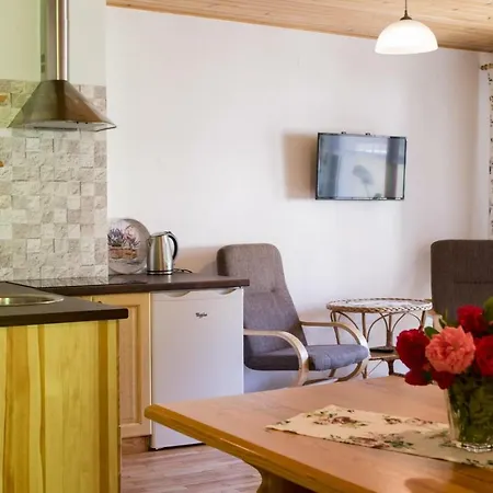 Nad Strumykiem Apartment