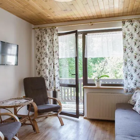 Apartment Nad Strumykiem